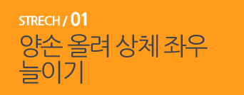  STRECH / 01 양손 올려 상체 좌우 늘이기 